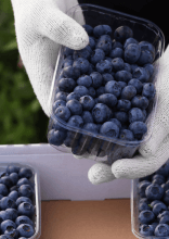 Les super-aliments bons pour le métabolisme