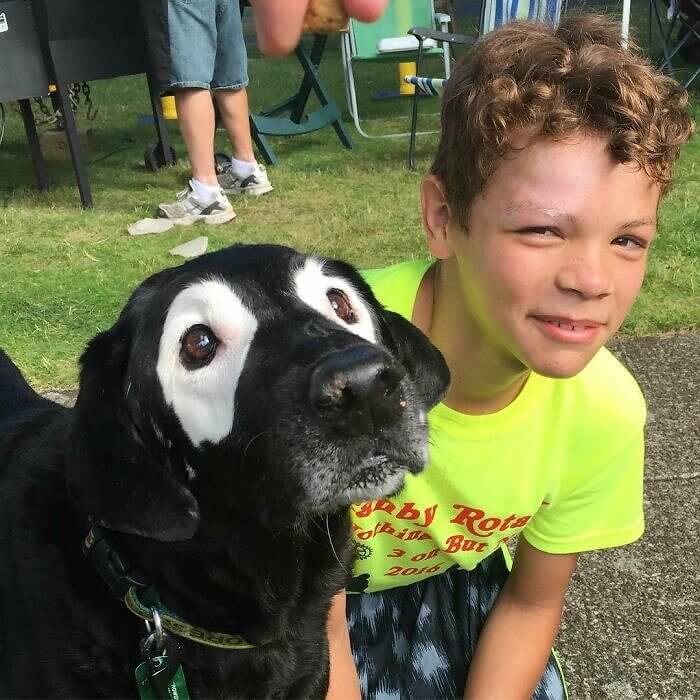 Dog Vitiligo