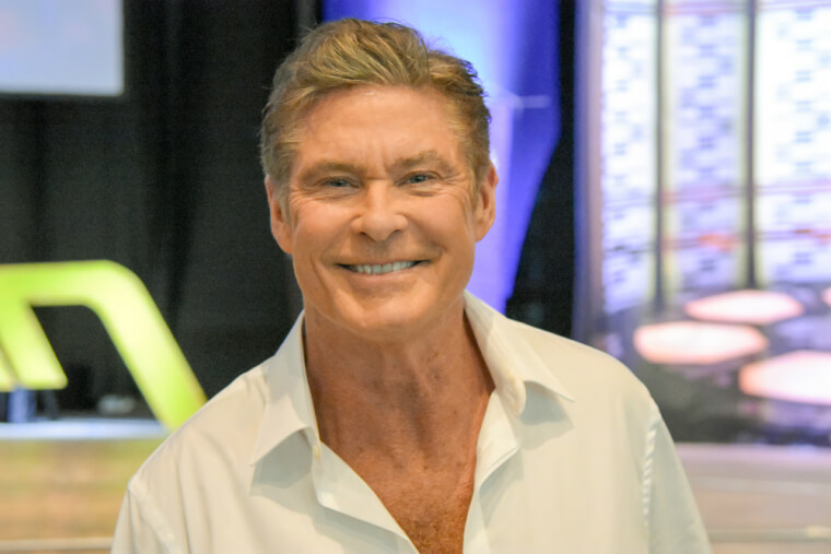 David Hasselhoff – Now