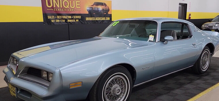 1980-1981 Pontiac Firebird Esprit (301 V8)