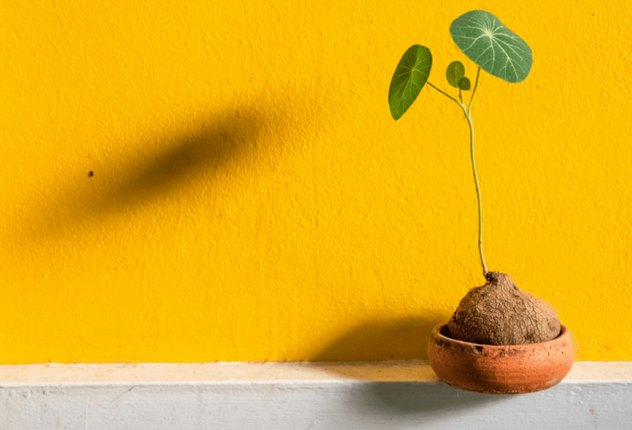 Cultivating a Growth Mindset for Personal Health