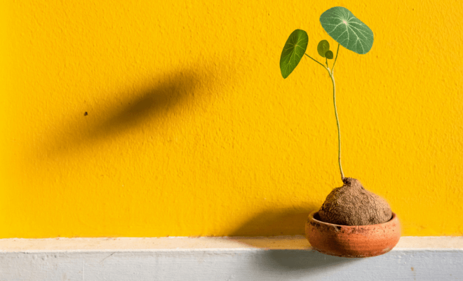 Cultivating a Growth Mindset for Personal Health