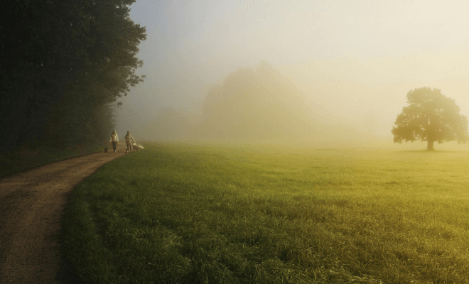 The Quiet Value of Early Morning Exploration