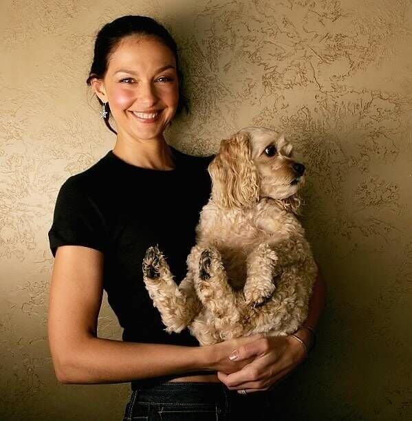 A Psychological Support Dog Helped Her