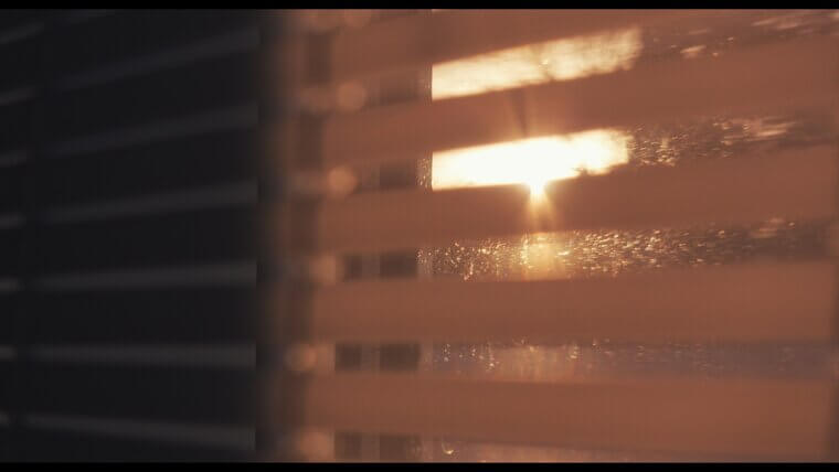 Maintain Your Window Blinds