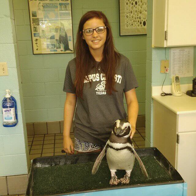 SeaWorld Was in Damage Control Mode