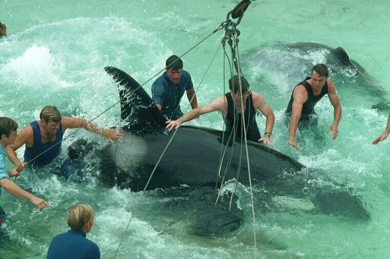 OSHA Had Been on Their Case for Years