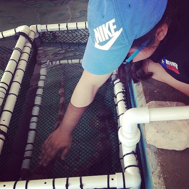 Rededicating Themselves to Animal Conservation