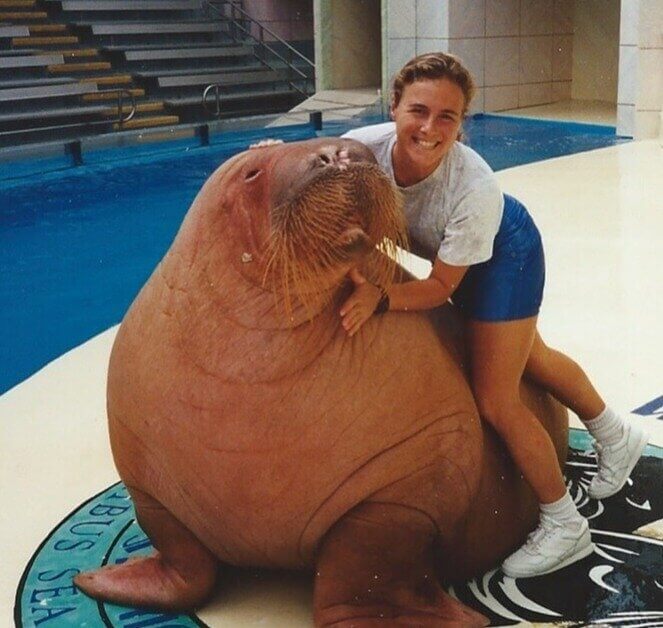 The Dawn Brancheau Foundation Seeks to Continue the Trainer's Legacy