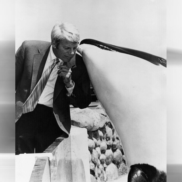 It Wasn't Easy to Ban the Orca Shows