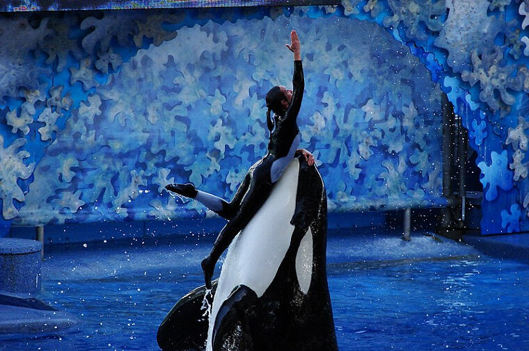 She Suffered Several Serious Injuries Before Resurfacing