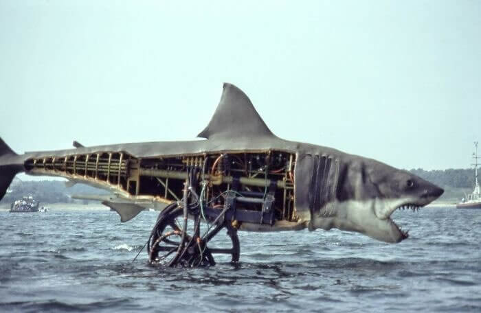 The Shark From Jaws