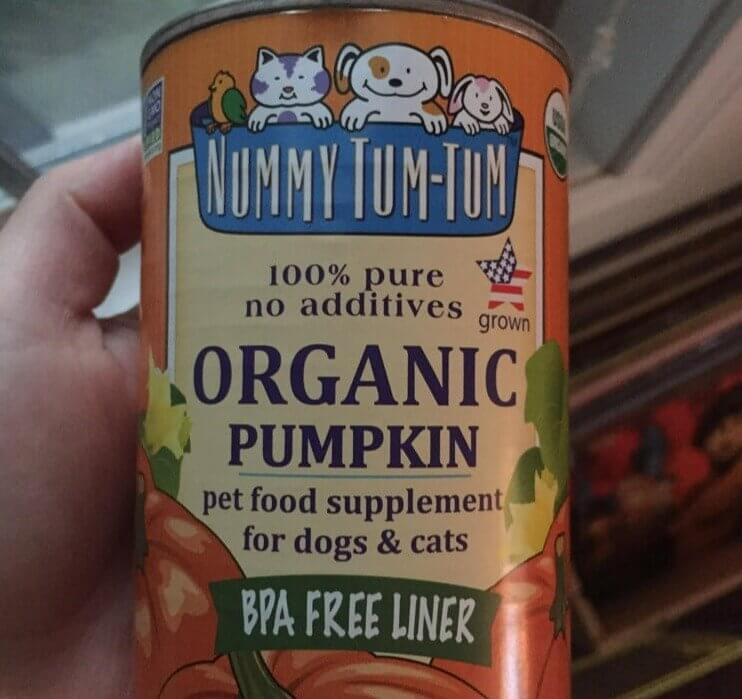 Apparently, He Thinks Pumpkin Rolls Are Made With Dog Food