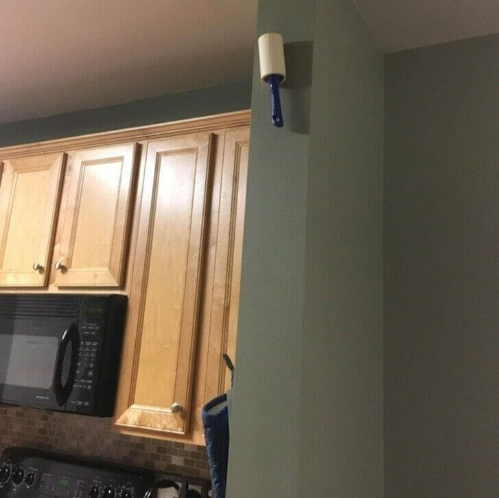 "Honey, Leave the Lint Roller Somewhere That's Easy-To-Reach"