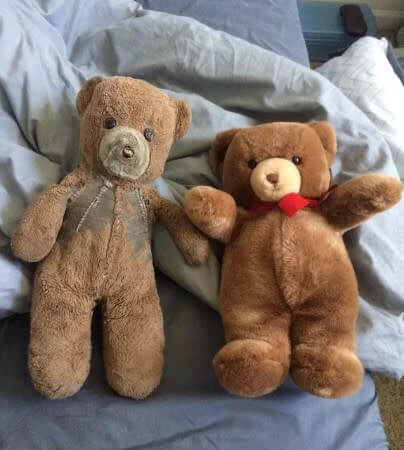 30 Years Hugging The Same Teddy Bear