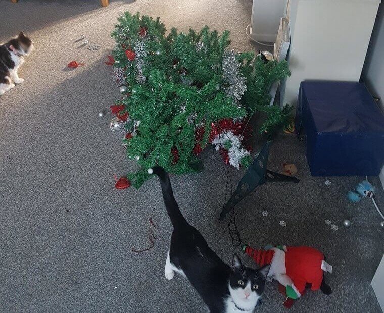 "Nothing Beats The Real Thing"