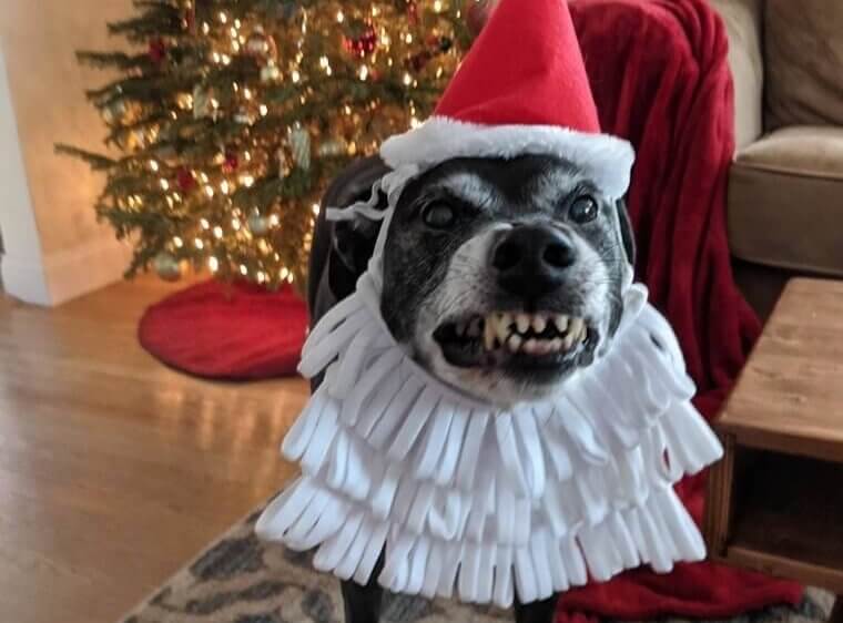 "Feelin' A Little Grinchy"