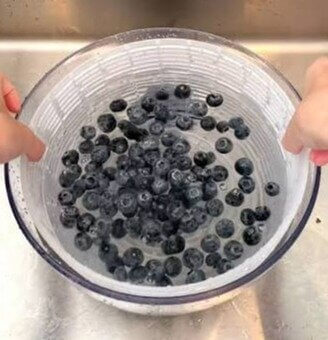 Salad Spinner: Washing and Drying Delicate Berries