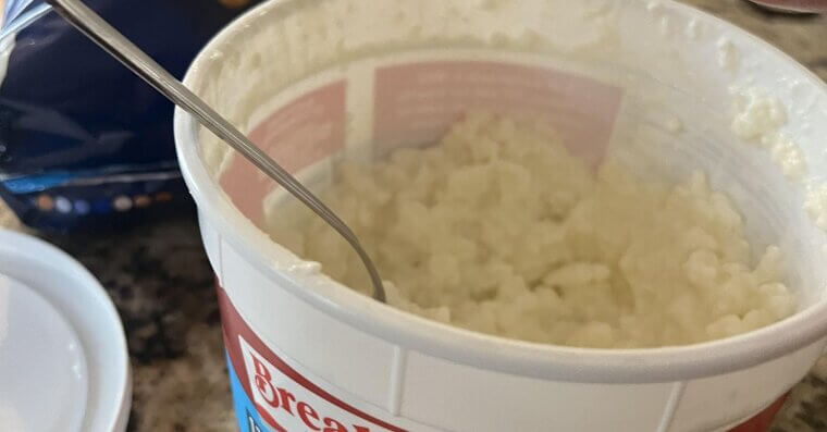 Flavored Cottage Cheese