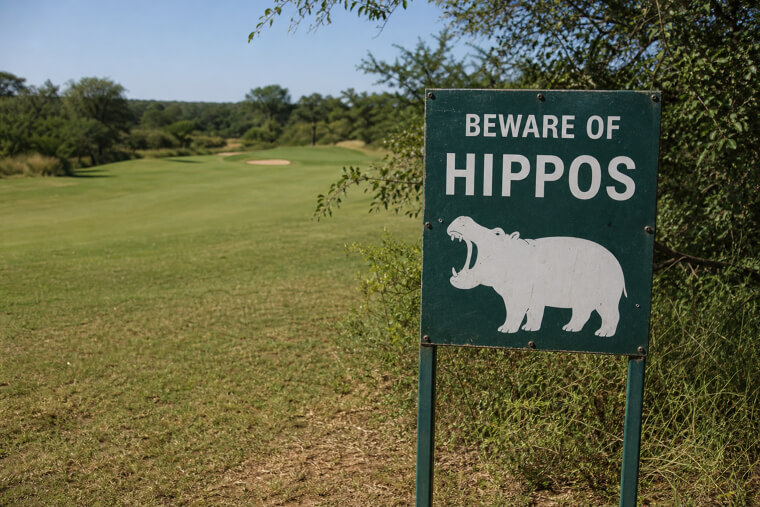 South Africa's "Beware of Hippos" Golf Course Sign