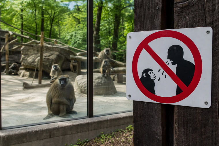 Germany's "Hannover Zoo" Sign Warning Visitors Not to Spit at the Monkeys