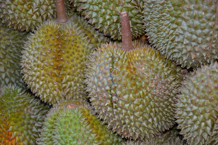 Durian Fruit