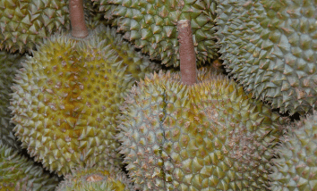 Alimentos cotidianos que no se venden en otros países