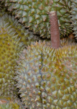 Everyday Foods That Aren't Sold in Other Countries