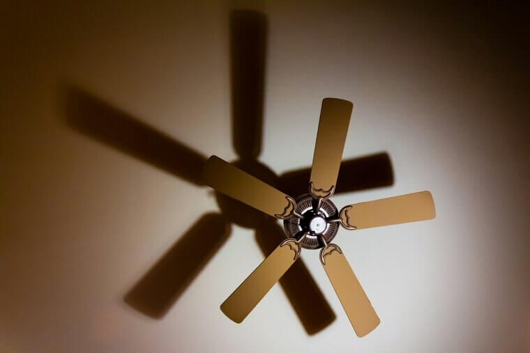 Ceiling Fan Roulette