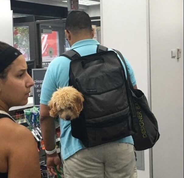 Shocked When Someone Licked My Arm In The Walgreens This Morning