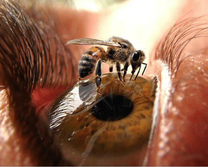 Can You See Something in My Eye?