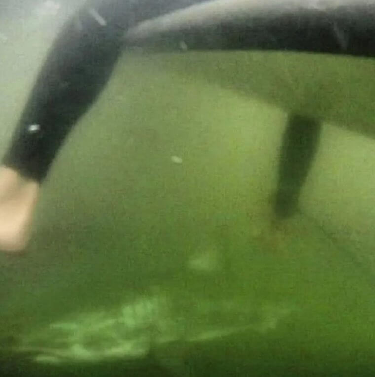 You Never Know What's Lurking in the Sea