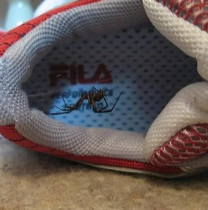 Unwanted House Guests Are the Worst