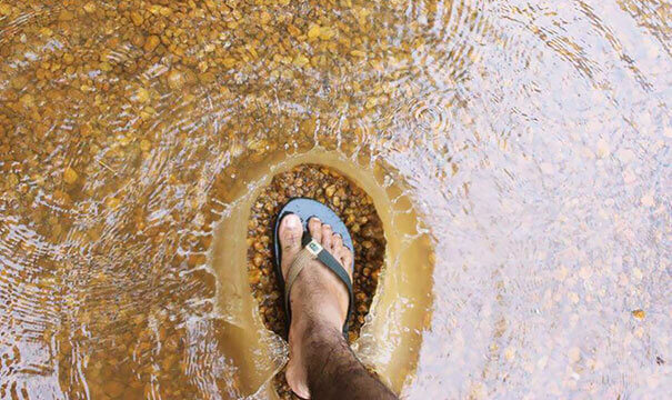 Perfect Shot