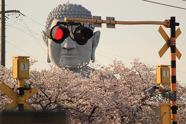 Cool Sunglasses