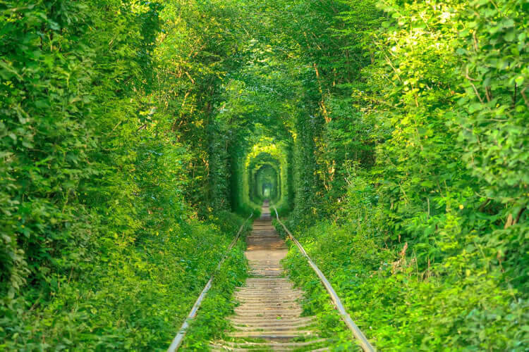 Tunnel of Love, Klevan, Ukraine