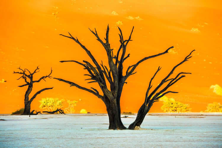 Deadvlei, Namibia