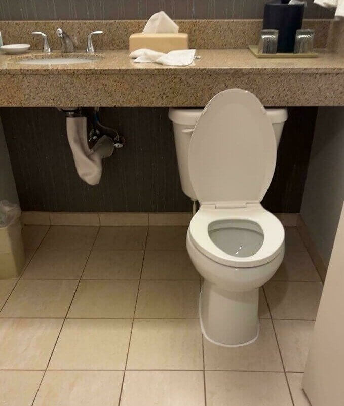 Well, We Hope They Never Have Issues With Their Toilet - Fixing It Would Require a Bathroom Remodel