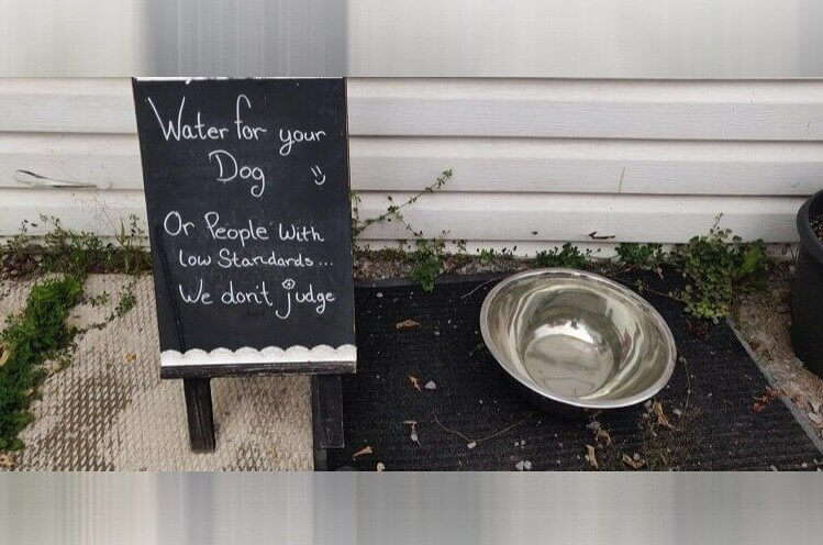 A Judgment-Free Water Bowl