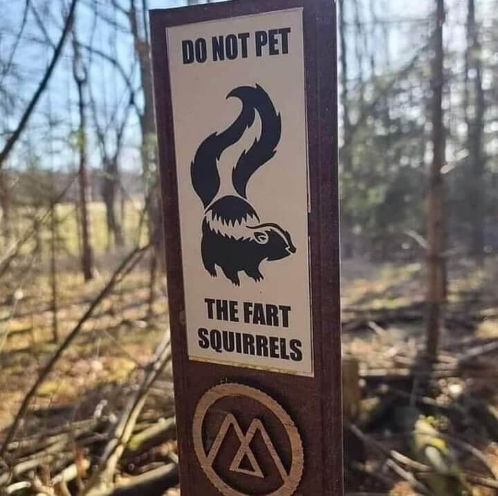 Please Don’t Pet the “Fart Squirrels”