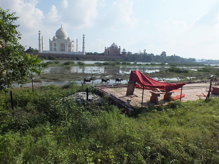 The Neighbors of the Taj Mahal: The View From Mehtab Bagh