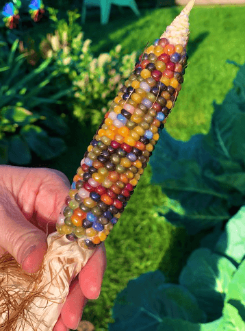 Nunca adivinarás qué es esta belleza