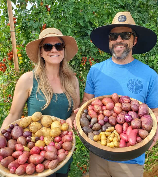 ¿Beberías un zumo de papa?