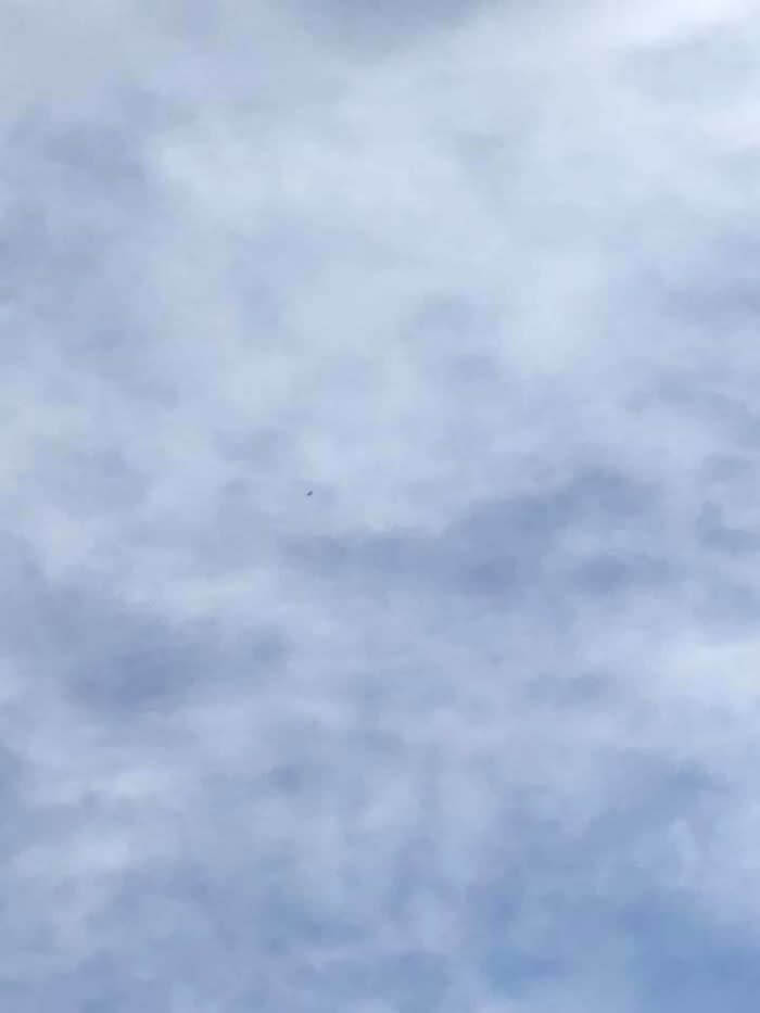 That Tiny Black Speck Is A Majestic Bald Eagle