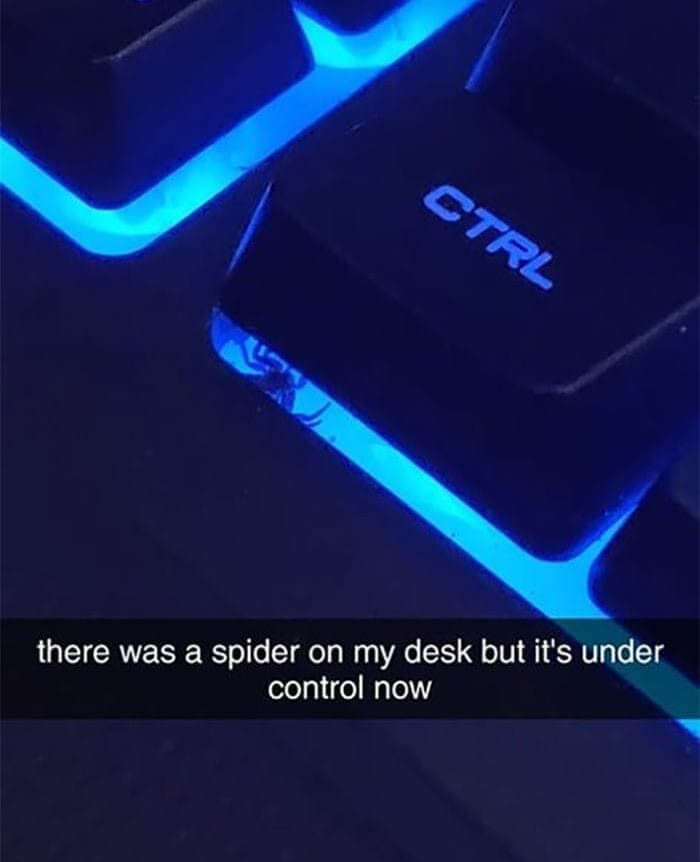 The Itsy Bisty Spider