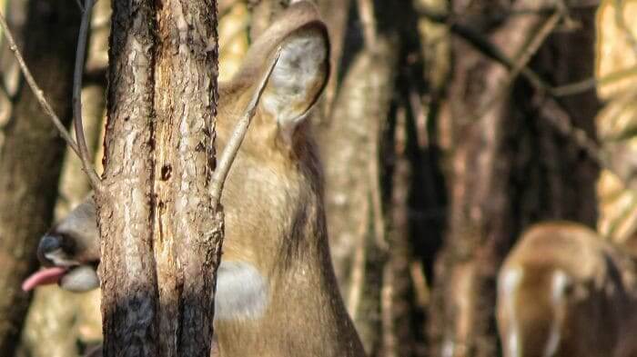 She Did That On Purpose