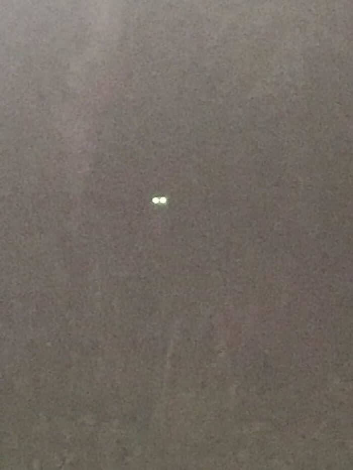 The Cougar Is Watching You