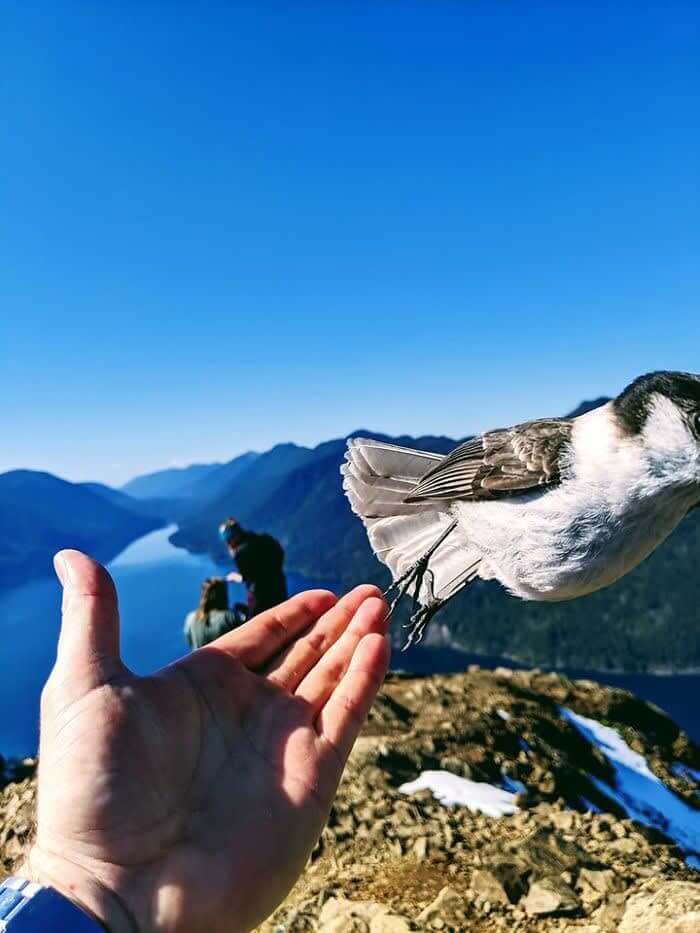 Gotta Be Quicker Than That