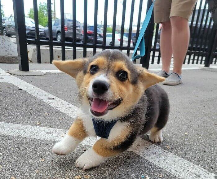 So Much to Do, so Little Time