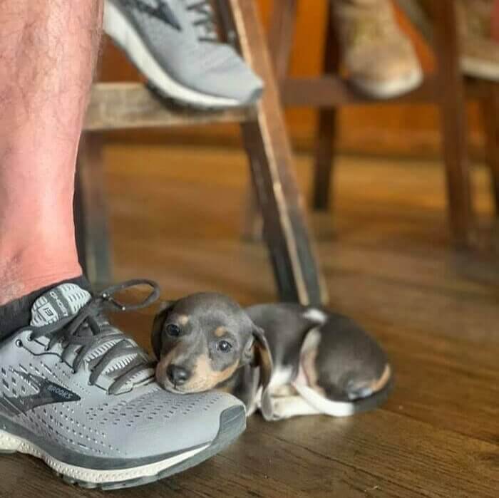 The Cutest, Tiniest Little Thing